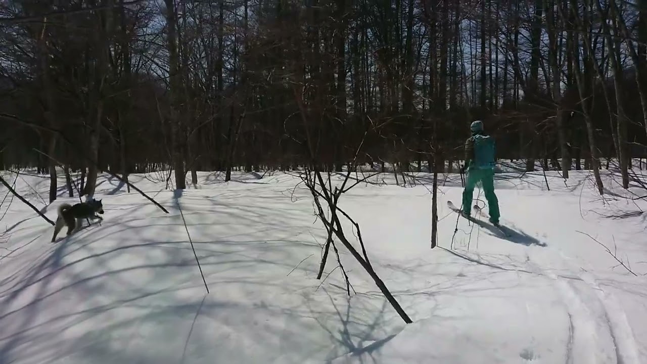 230228_佐渡山の麓2