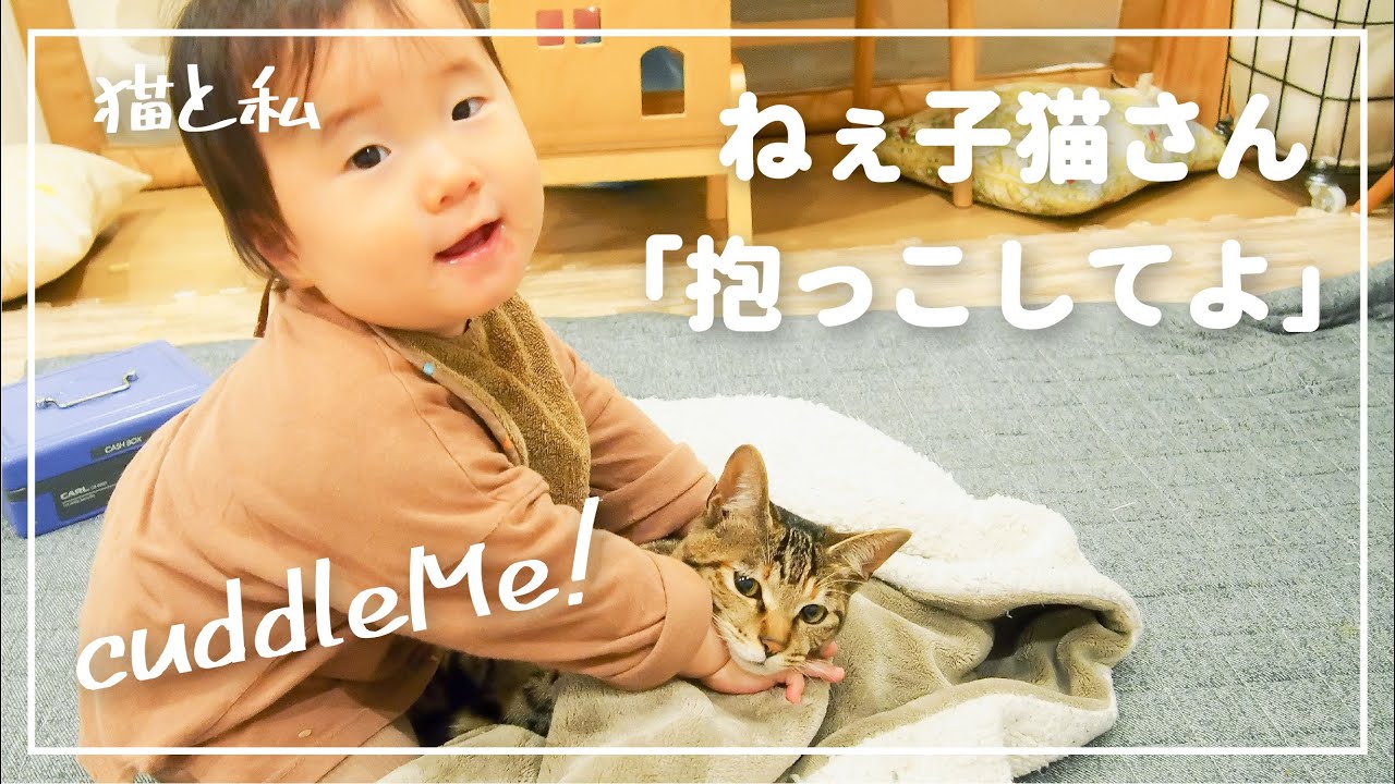 【猫と暮らす家】１歳娘から「抱っこして欲しい」と懇願されるキジトラ猫【vlog】