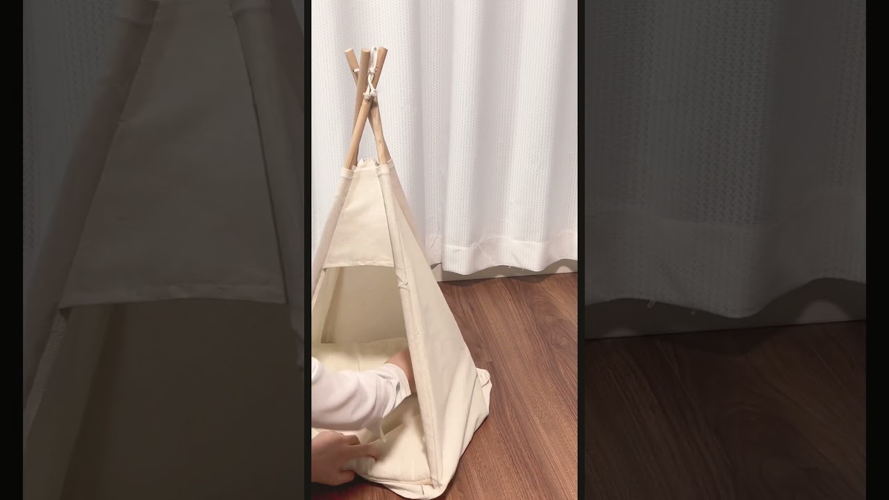 インスタ映えを目指してみた #ラグドール #猫