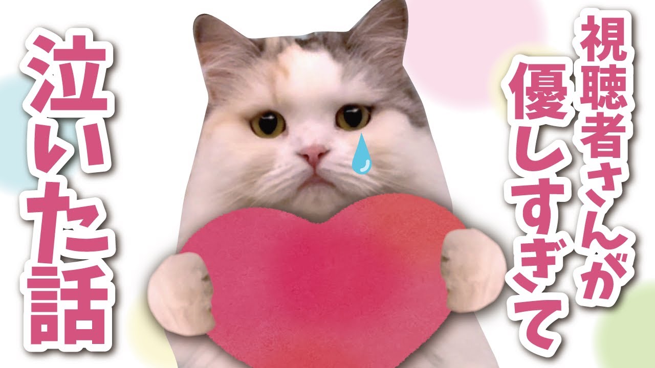 視聴者のみなさんがガチで優しすぎて困ってます…【関西弁でしゃべる猫】