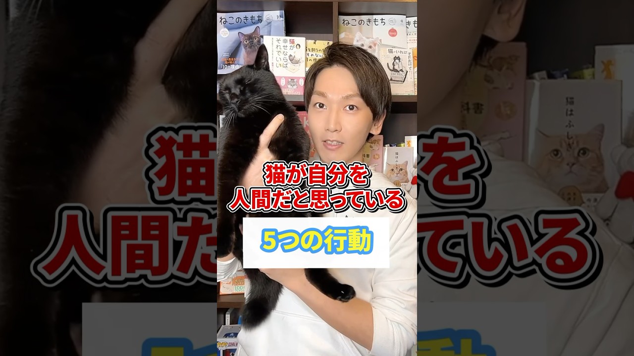 猫が自分を人間だと思っている５つの行動