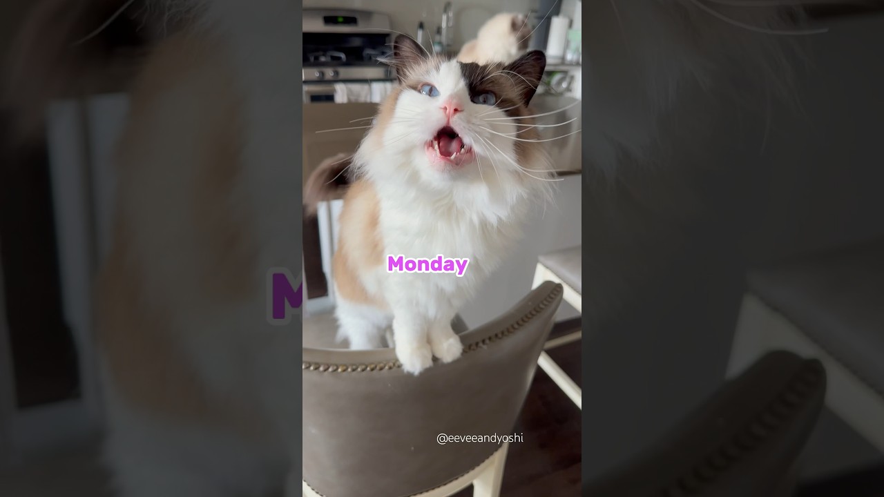 Someone was feeling extra crispy this week