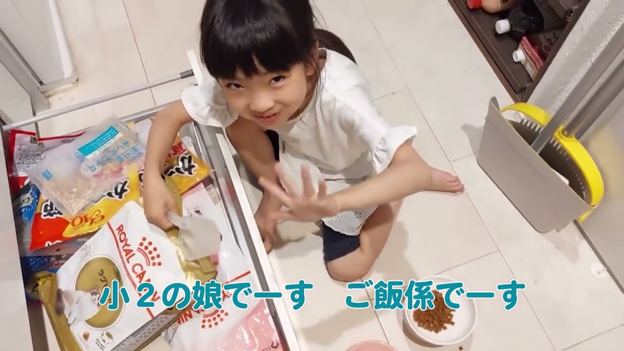 ご飯を犬のように待つサイベリアン子猫と、食後が可愛すぎるラグドール！　ぺろぺろ