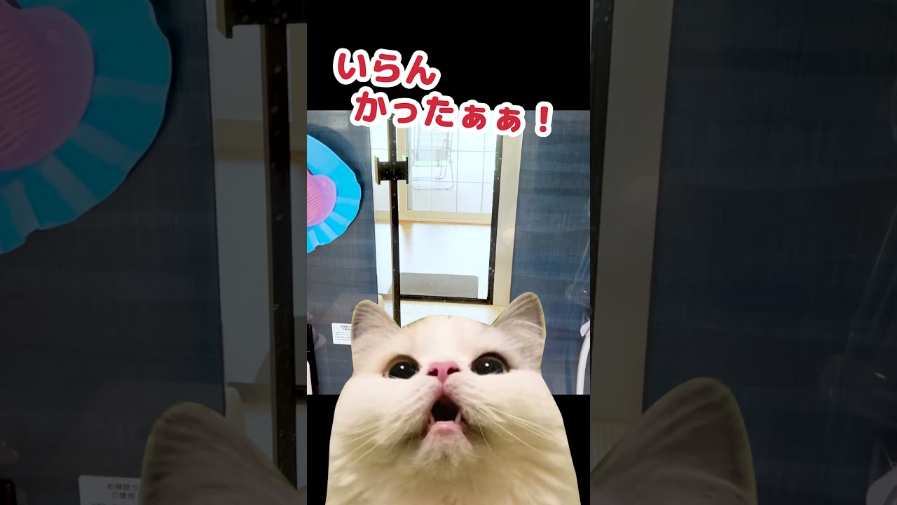 注文住宅で後悔した事BEST５ #Shorts