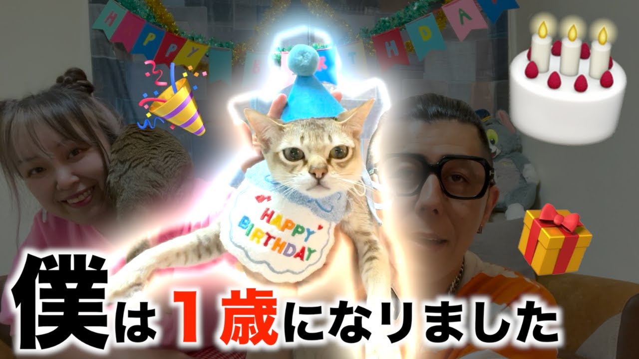 子猫1歳の誕生日会！！