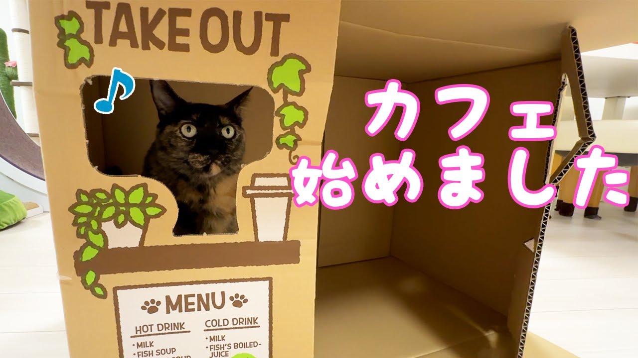 カフェの店員になったサビ猫モモちゃんが可愛すぎる…！