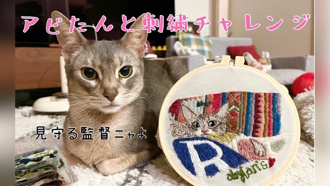 猫アビたんと刺繍チャレンジ♡