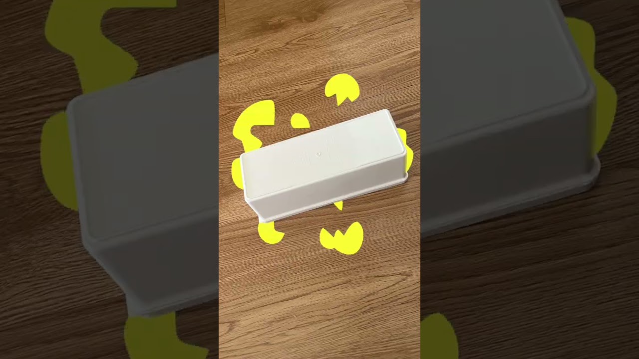 メインクーンの日常〜ドア簡単！