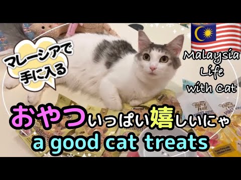 【🇲🇾Malaysia Life with Cat】ついに出会えた！マレーシアで手に入る(おはぎが食べる)健康的な猫のおやつ★Cat Treats〜森猫おはぎの遊雅な日常〜 #猫とマレーシア生活