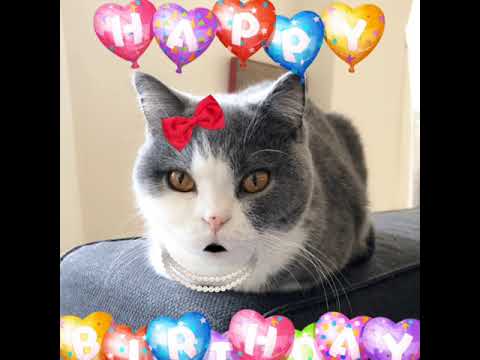 2018/04/20　セルカークレックスの梅子vol.305