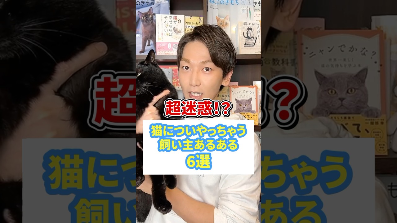 超迷惑！？猫についやっちゃう飼い主あるある６選