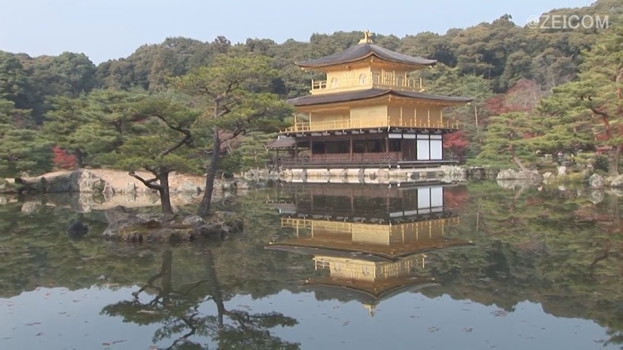 Japan Cat Trip, Kyoto-Day 1 / 日本猫旅,京都-1日目