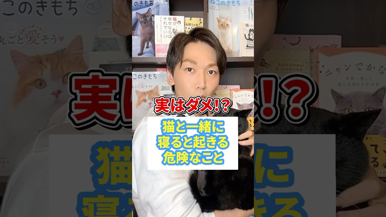 実はダメ！？猫と一緒に寝ると起きる危険なこと