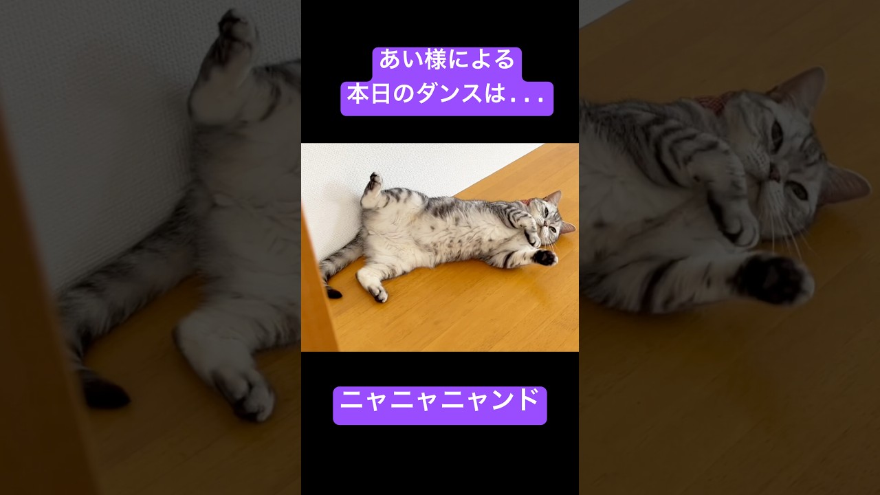 本日のダンスは... #shorts