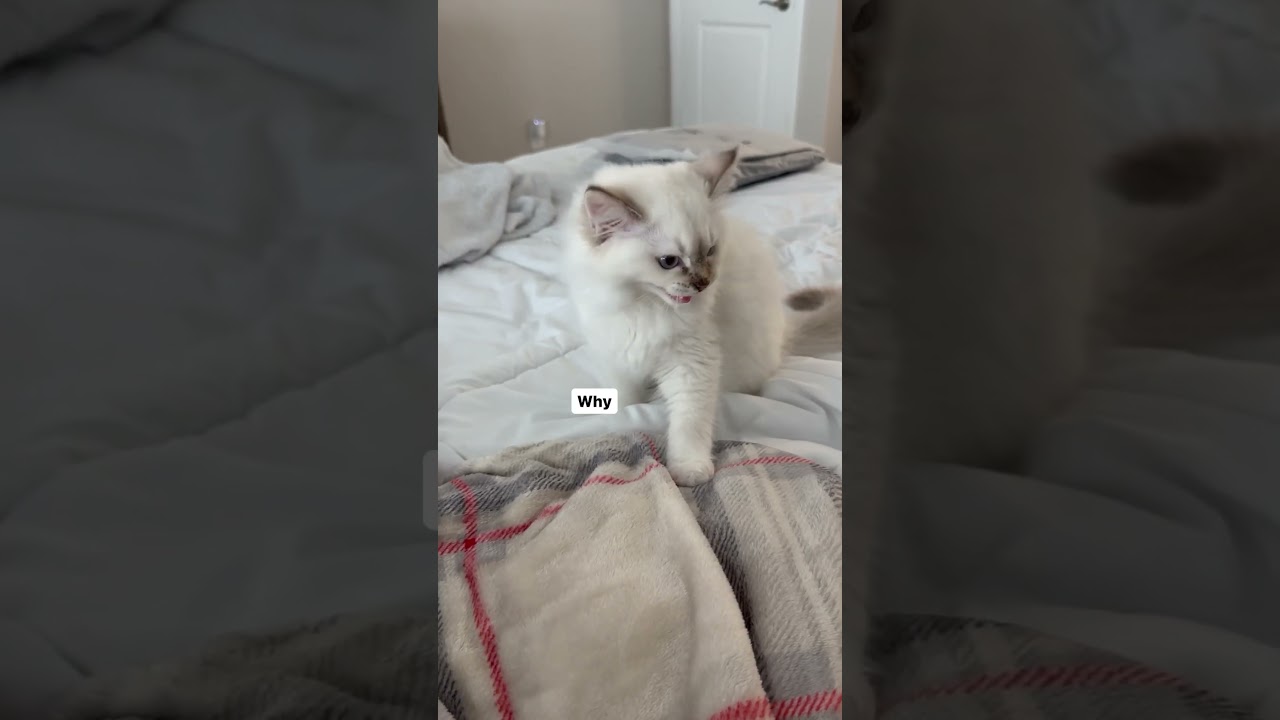 The way Hazel looked so confused at the end lol