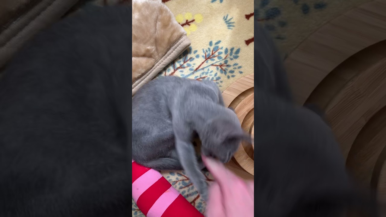 さわるのが怖い