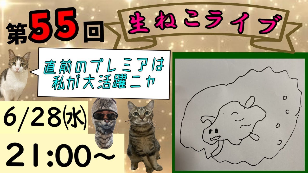 第55回😻生ねこLive😻