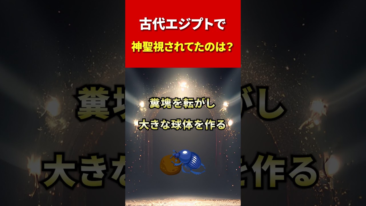 【スフィンクス】 古代エジプトで神聖視されていた昆虫#shorts