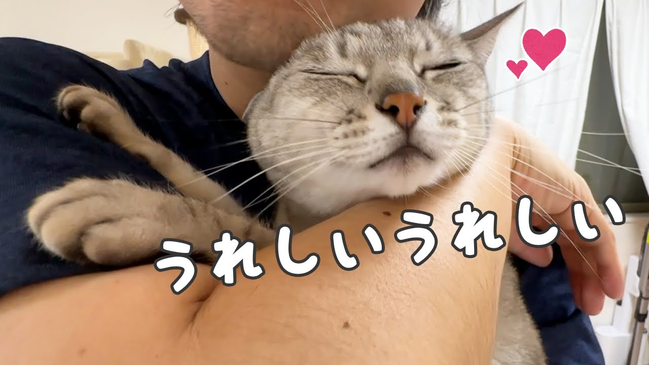 お薬生活になってさらに甘えん坊になったマロちゃん