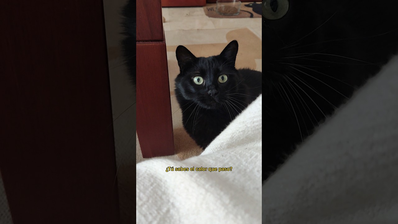 Los bombones como yo nos derretimos