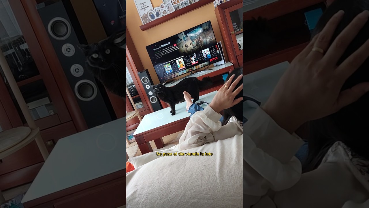 ¡Es lo mismo! Ya no me presta atención