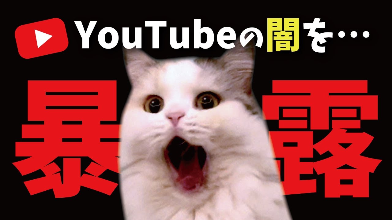 【暴露】みなさんにこれだけは言うときたいんです…！【関西弁でしゃべる猫】