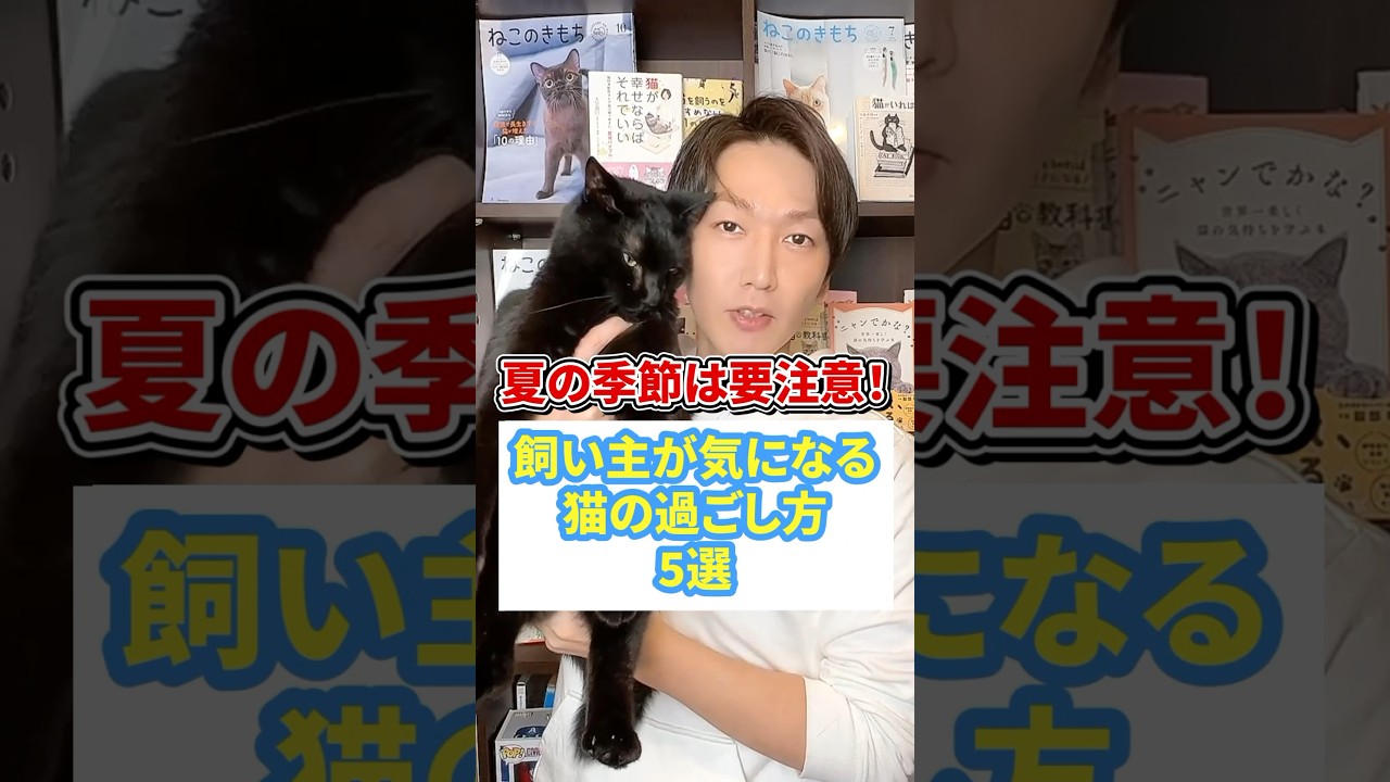 夏の季節は要注意！飼い主が気になる猫の過ごし方５選