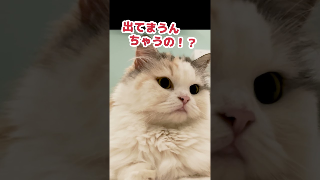 ネガティブな事って見ちゃうよねぇ… #Shorts