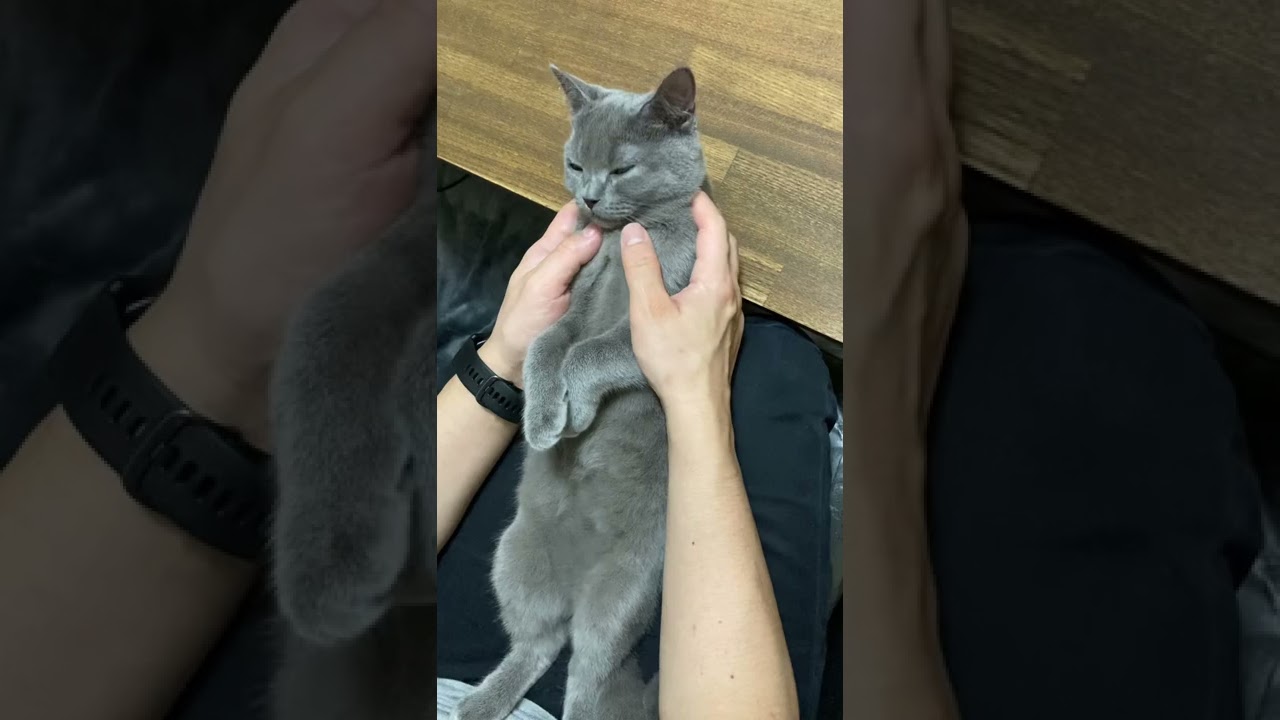 そこね、そこあるか