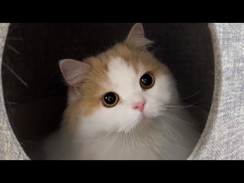 現状とポテチについて