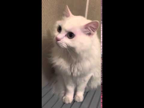 お風呂 マル