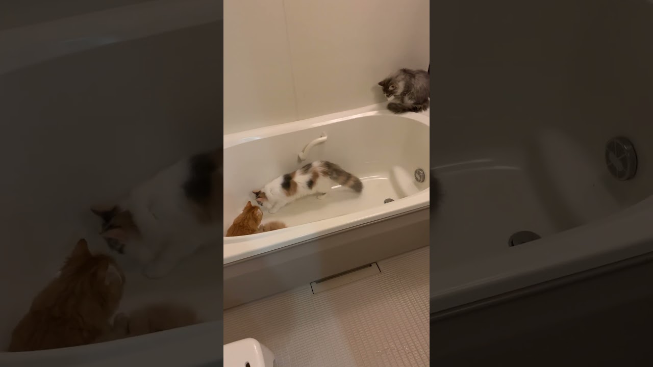 なんでこんなところにいるのよ・・・