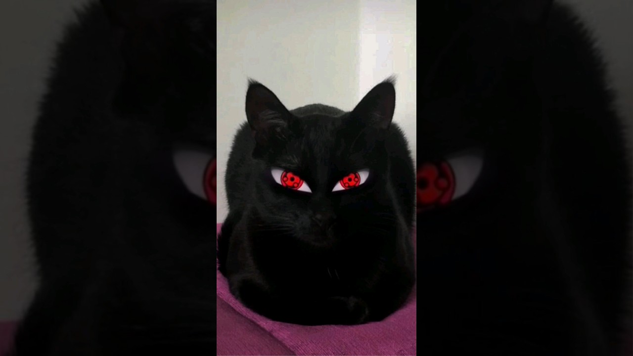 👻👻👻👻👻👻