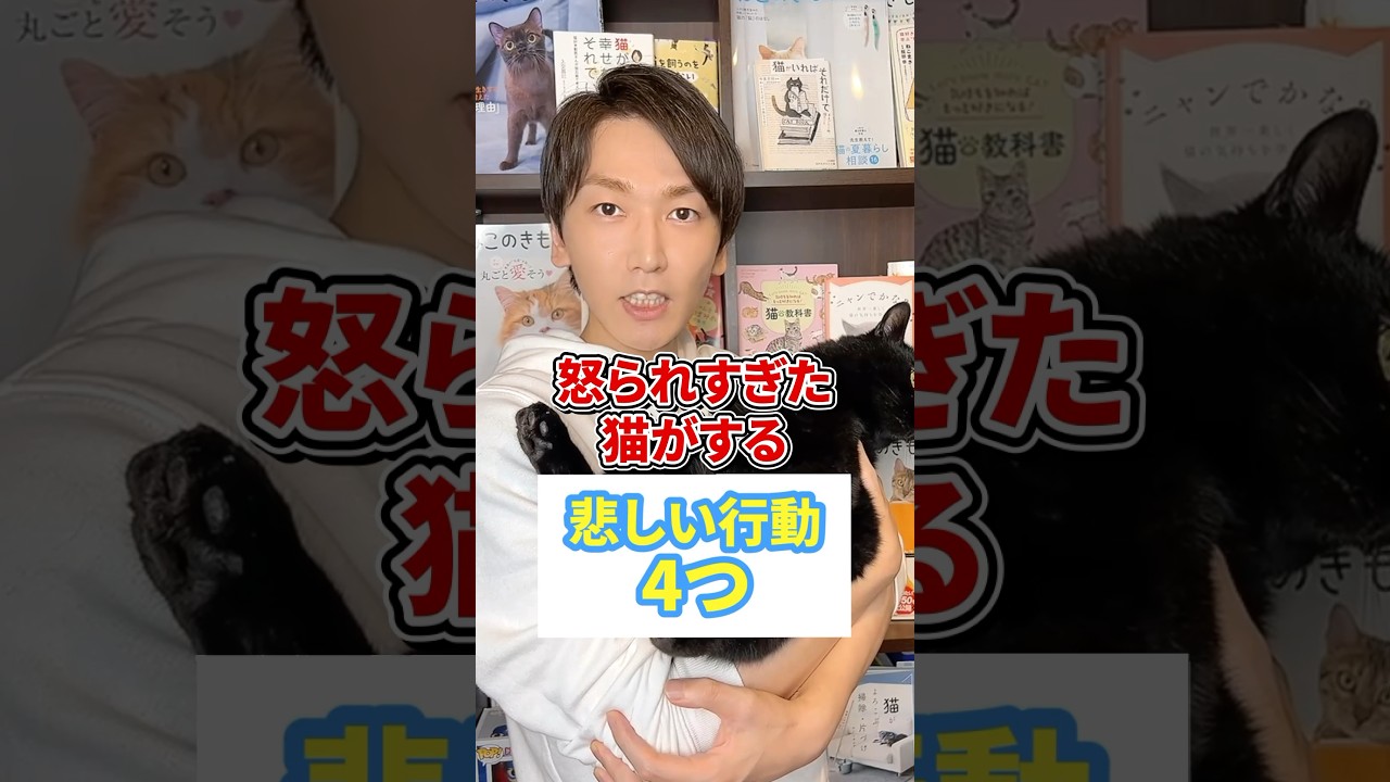 怒られすぎた猫がする悲しい行動4つ