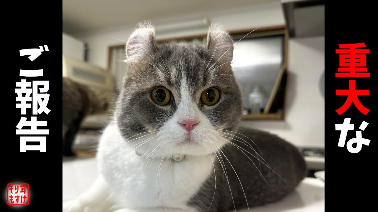 家族に重大なアクシデントが起きてしまいました
