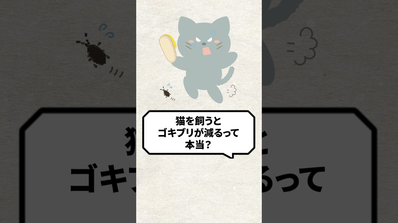 Q：猫を飼うとゴギブリが減るって本当？