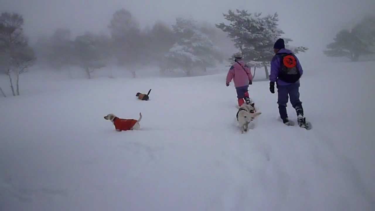 2012.3.10 菅平スノーシュー　No.2