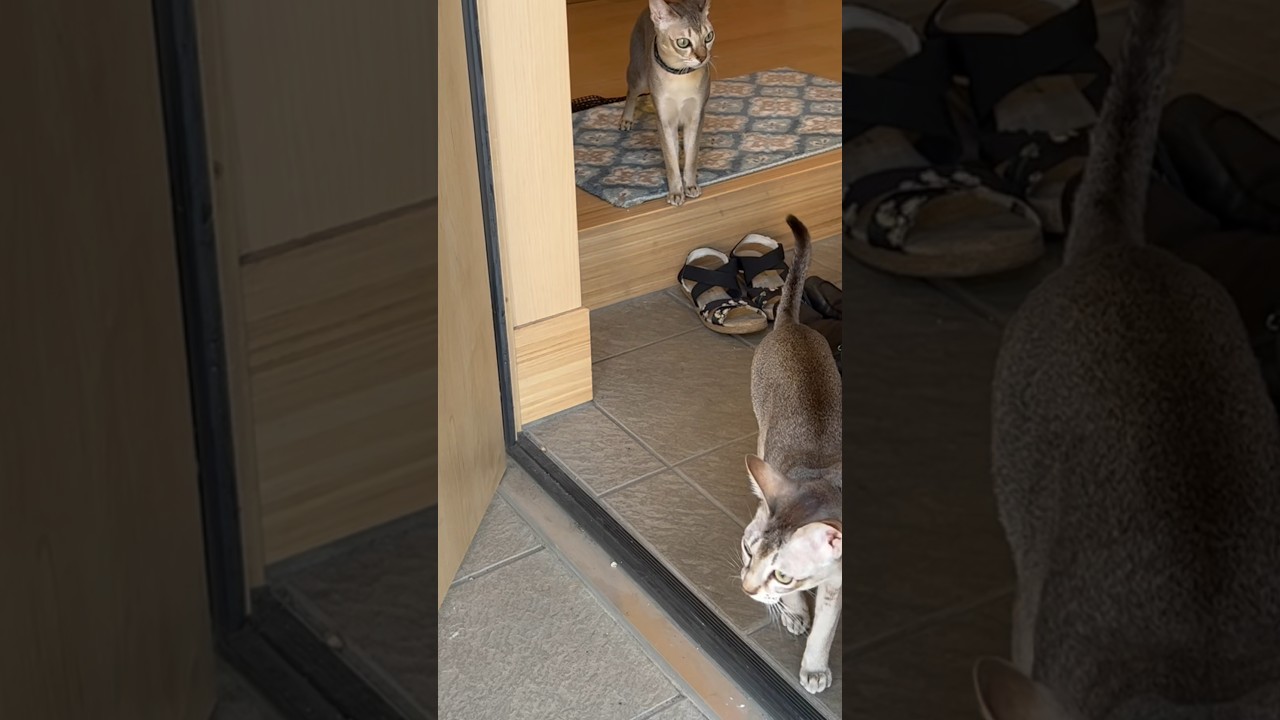 天気も良かったので、少し外出してみた