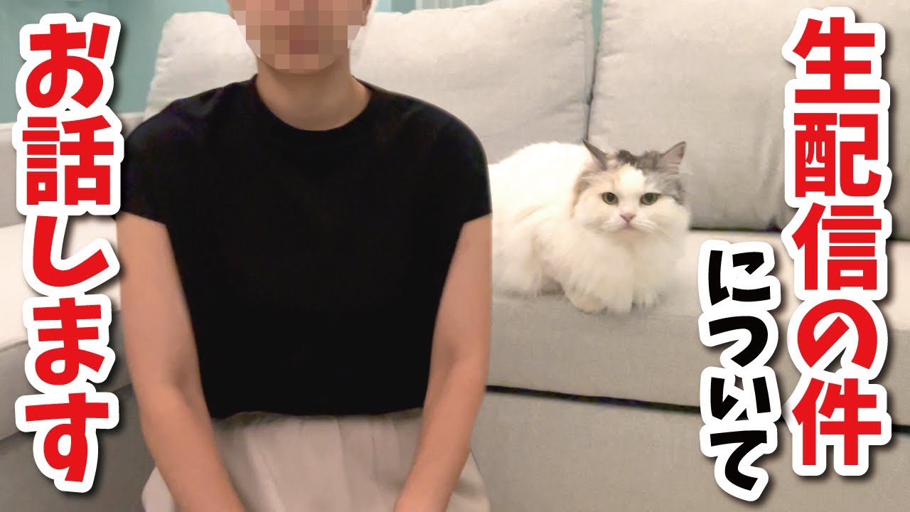 例の生配信の件について【関西弁でしゃべる猫】