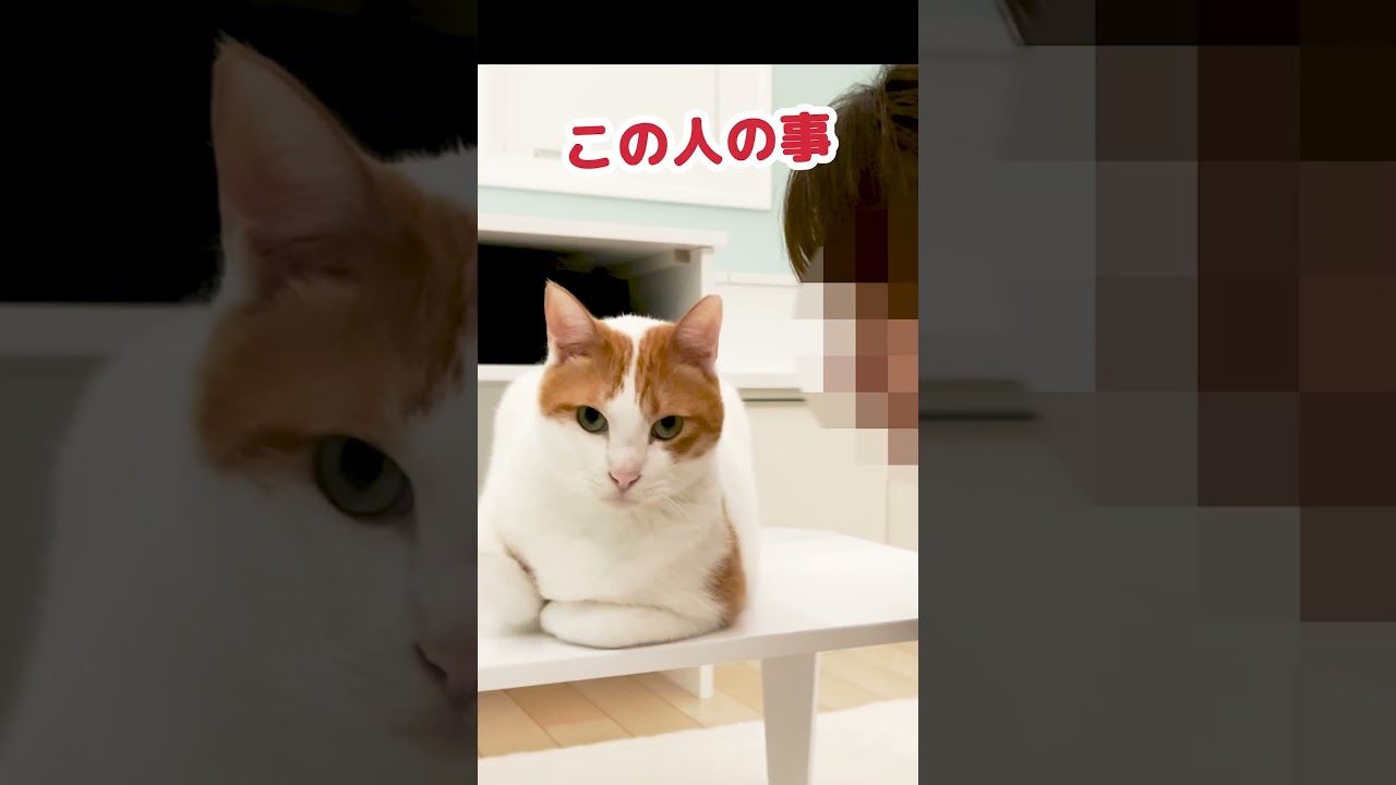 見えているのは僕だけ…？ #Shorts