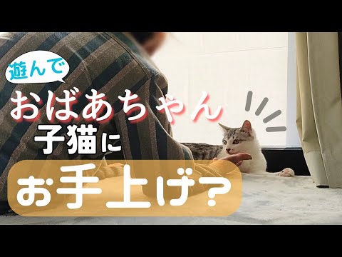 子猫はおばあちゃんと久しぶりに会うと喜びすぎて…。