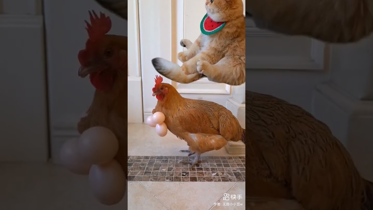 brown cat😼🐱#viral