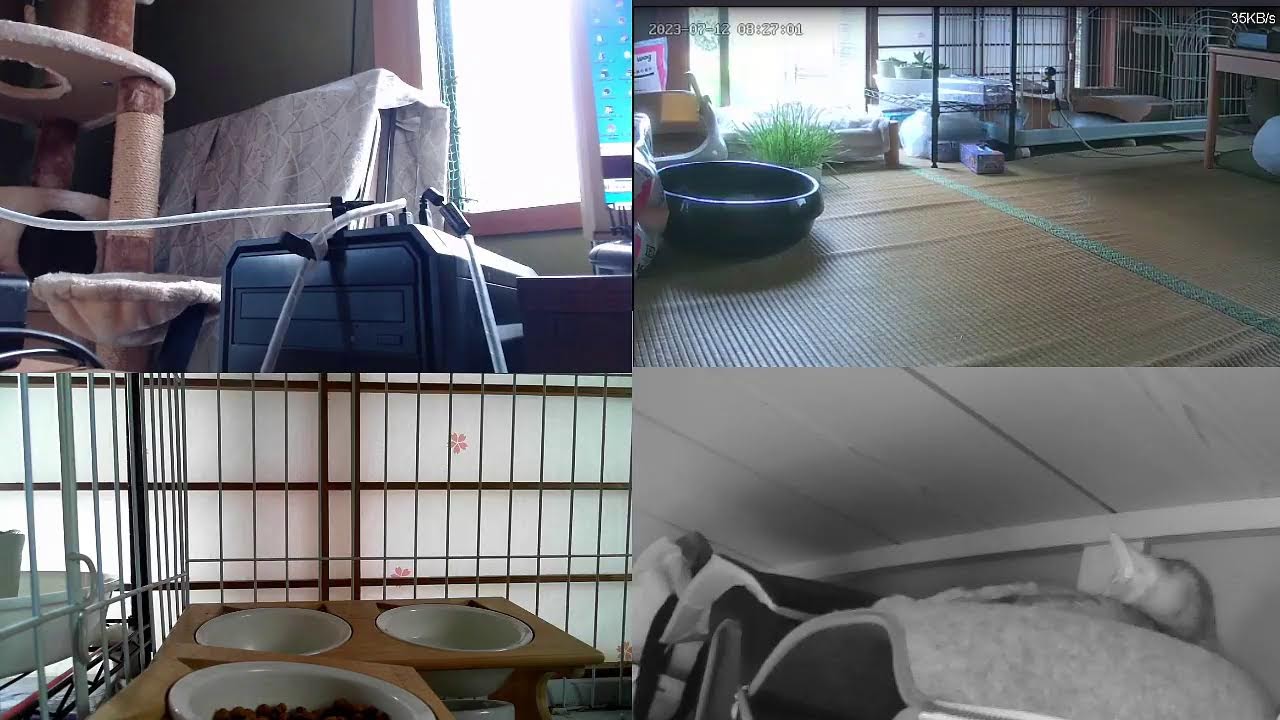 サビ猫あずきと愉快な仲間たち