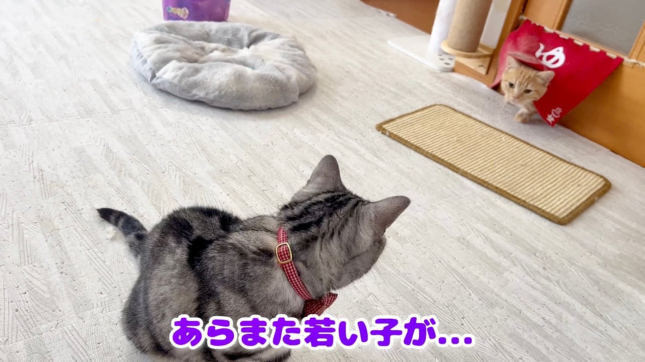 若さエキスを堪能するあいちゃん