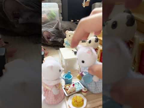 Cat in Sylvanian Families World #shorts