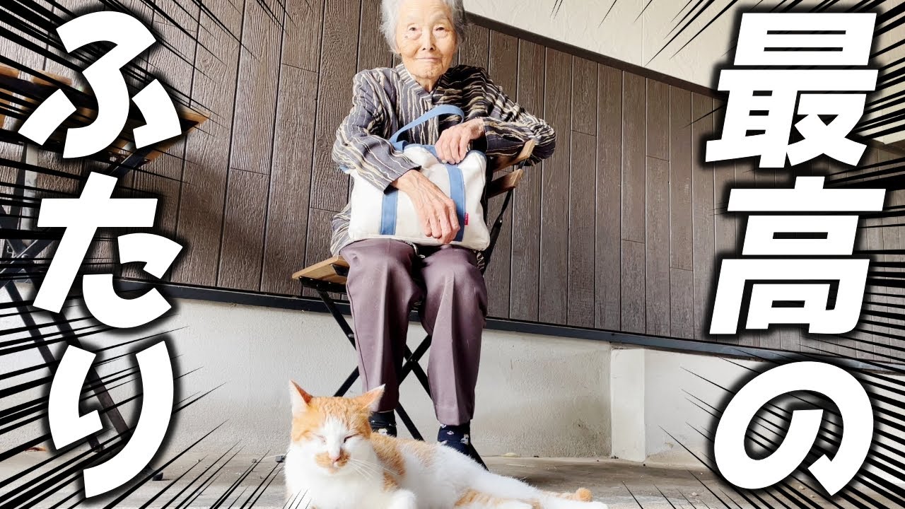 おばあちゃんと庭子猫のツーショットが可愛すぎる件…♡[三毛母猫の子猫]