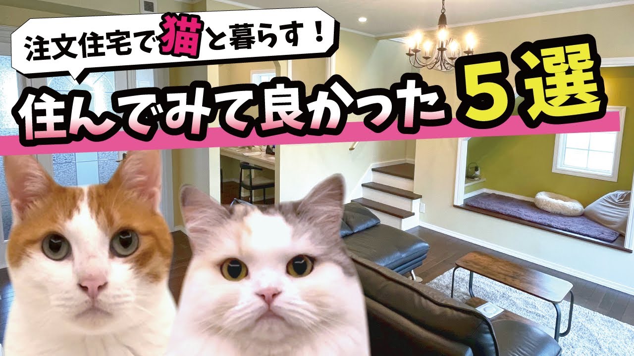 猫の下僕が全力で建てた猫と暮らす家！住んでみて良かった所５選！【関西弁でしゃべる猫】