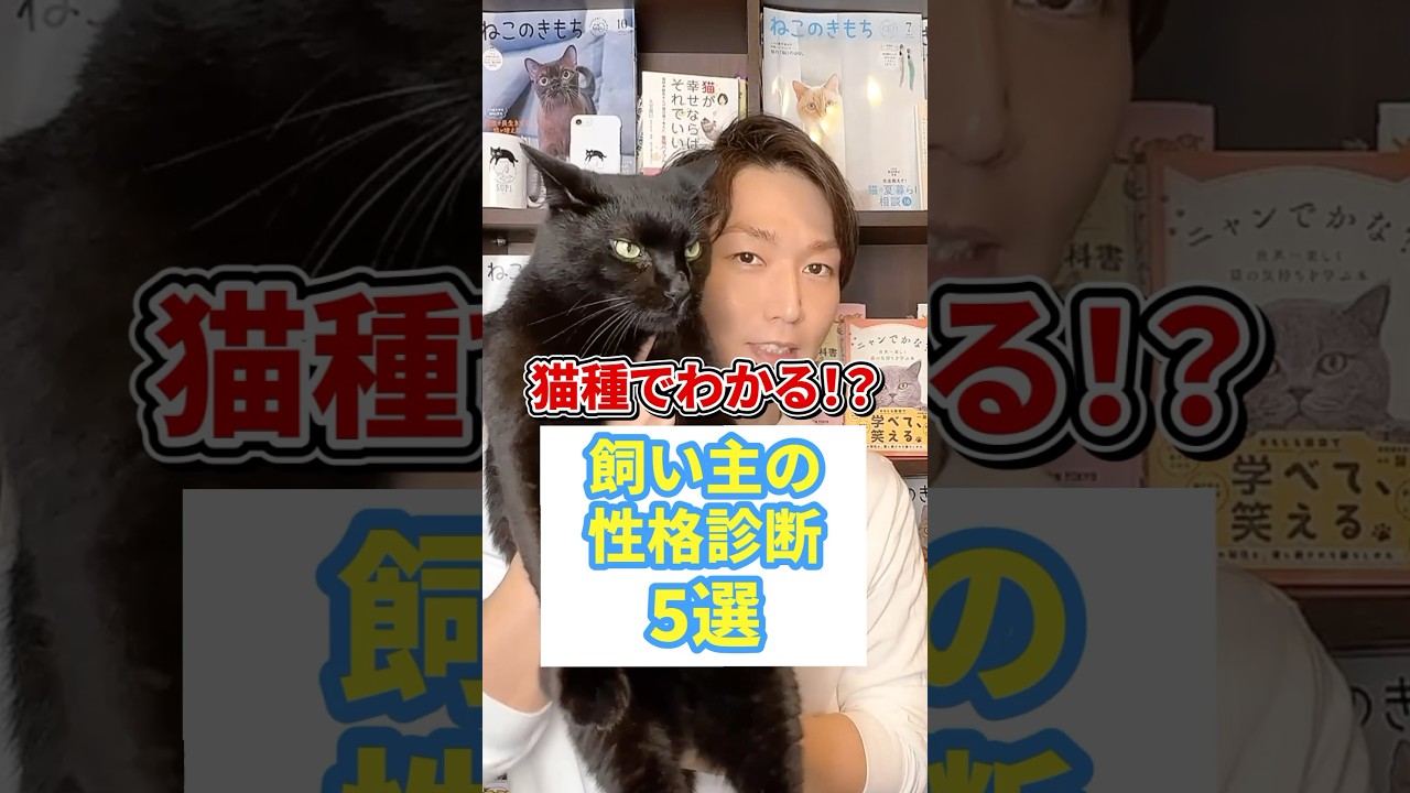 猫種で分かる！？飼い主の性格診断5選