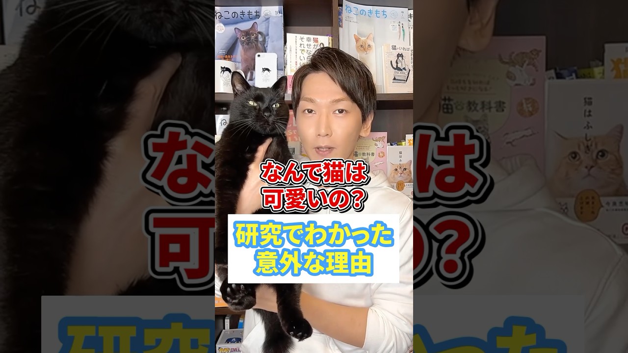 なんで猫は可愛いの？研究で分かった意外な理由
