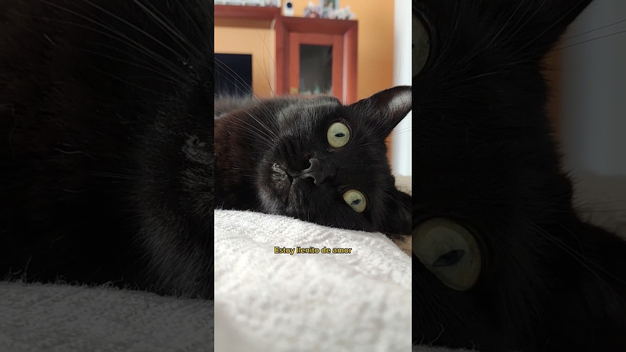 Soy de huesitos anchos